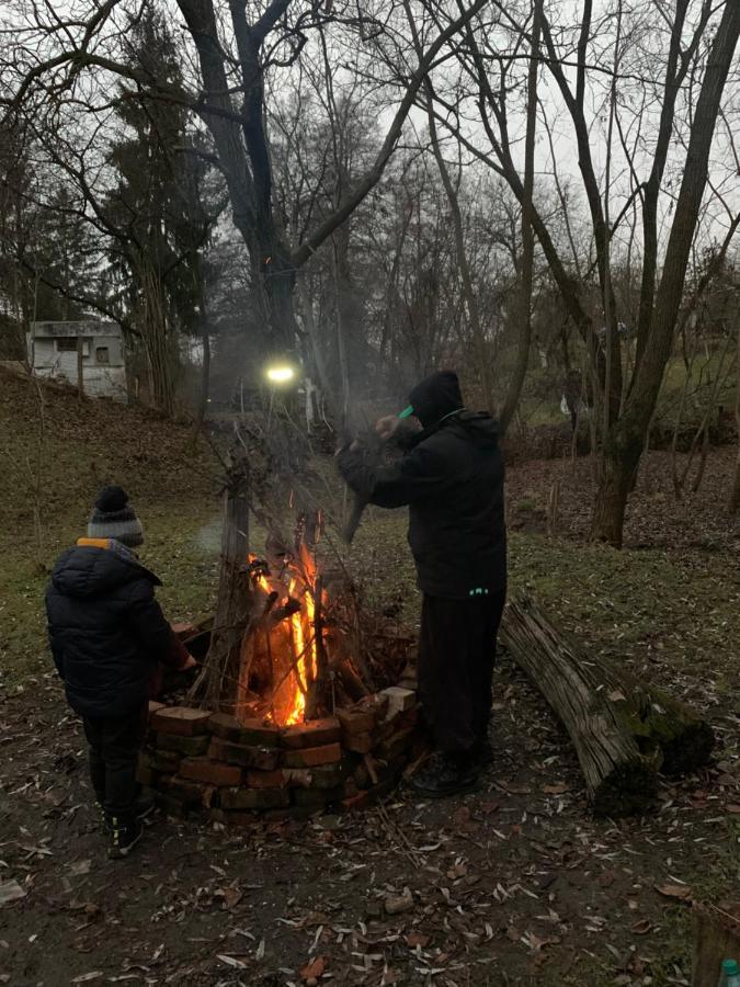 Casa Rurala Cu Livada Lavandra Къмпина Екстериор снимка